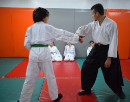 bahcelievler-dojo_2.jpg